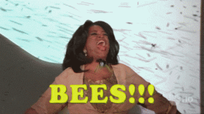 oprah-bees-google-hangouts