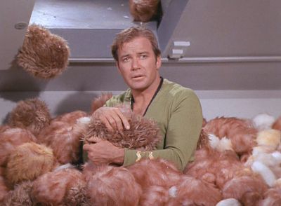 Captain Kirk, surrounded by Tribbles.