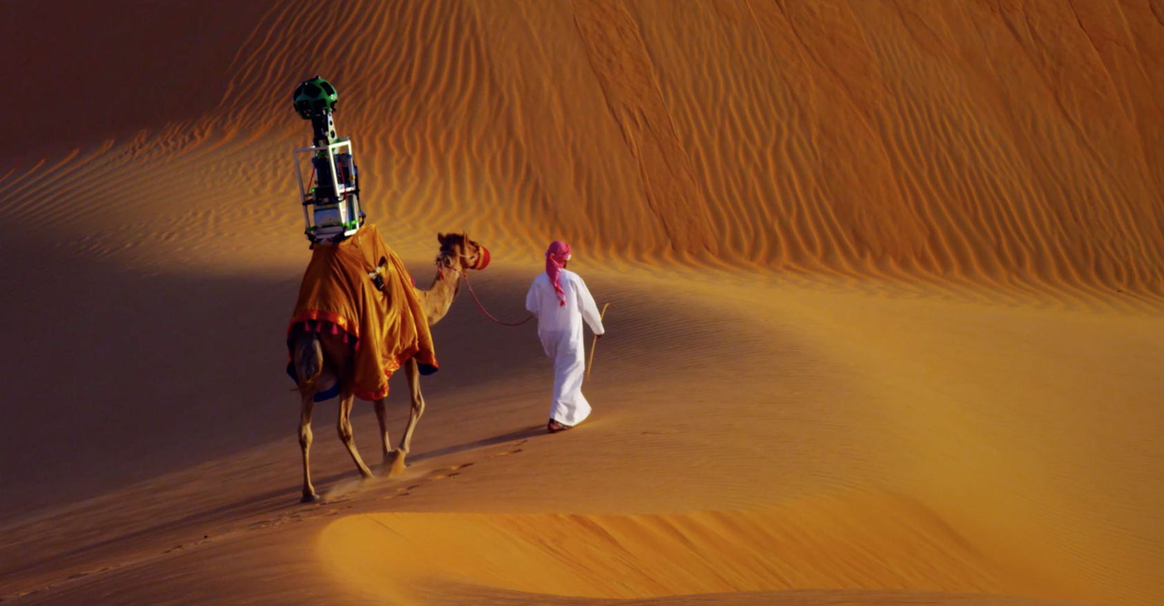 Google-Maps-Street-View-Camel