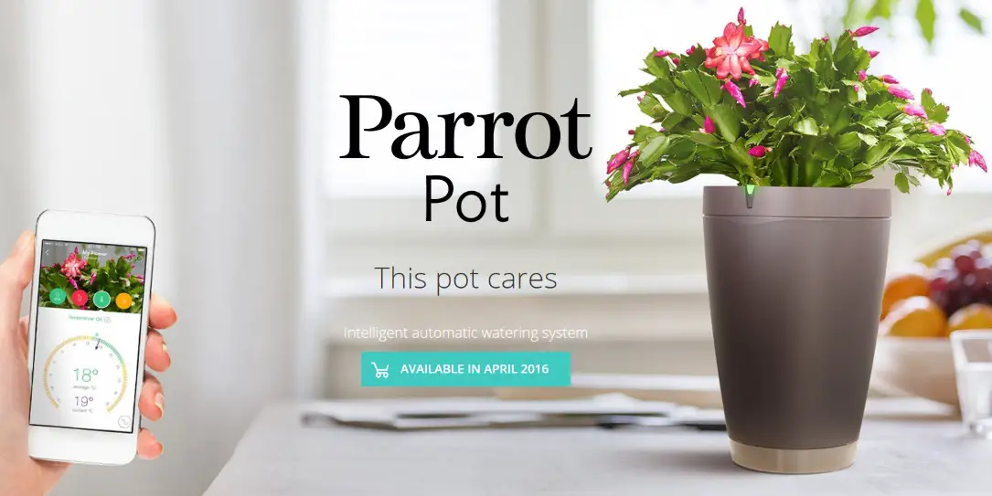 Parrot Pot