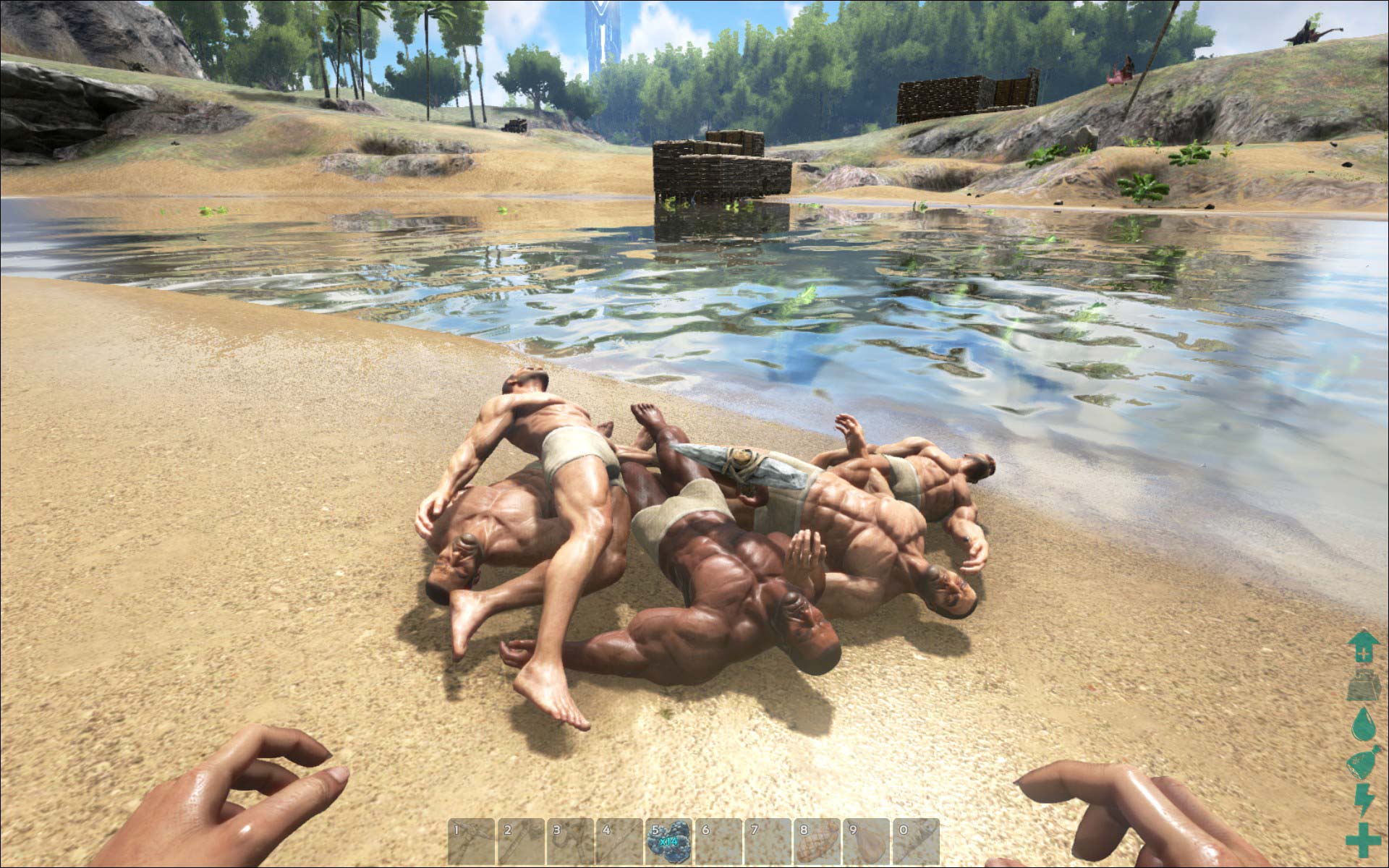 Naked ark