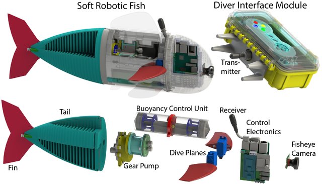 SoFi Robot Fish MIT Diagram