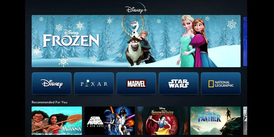 streaming service Disney