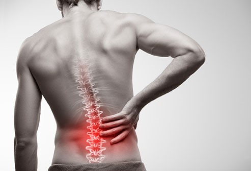 Spinal cord pain diagram