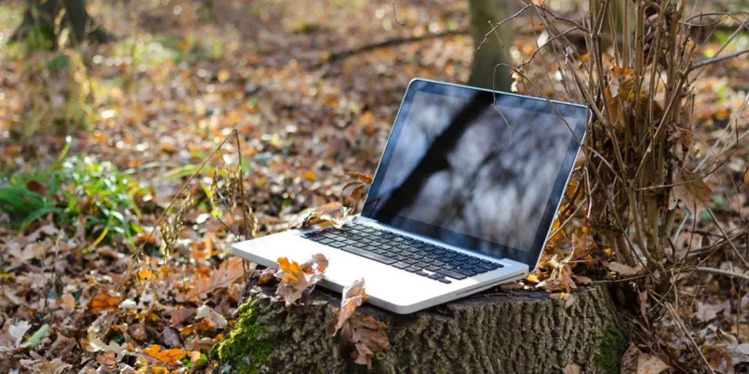 laptop on a tree stump