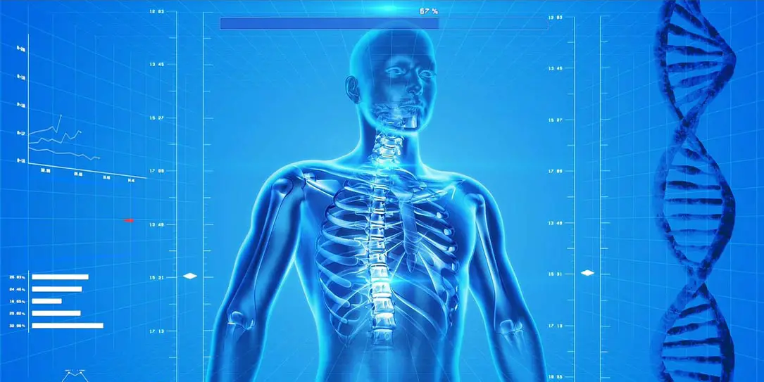 healthcare-technology-human-skeleton-diagram