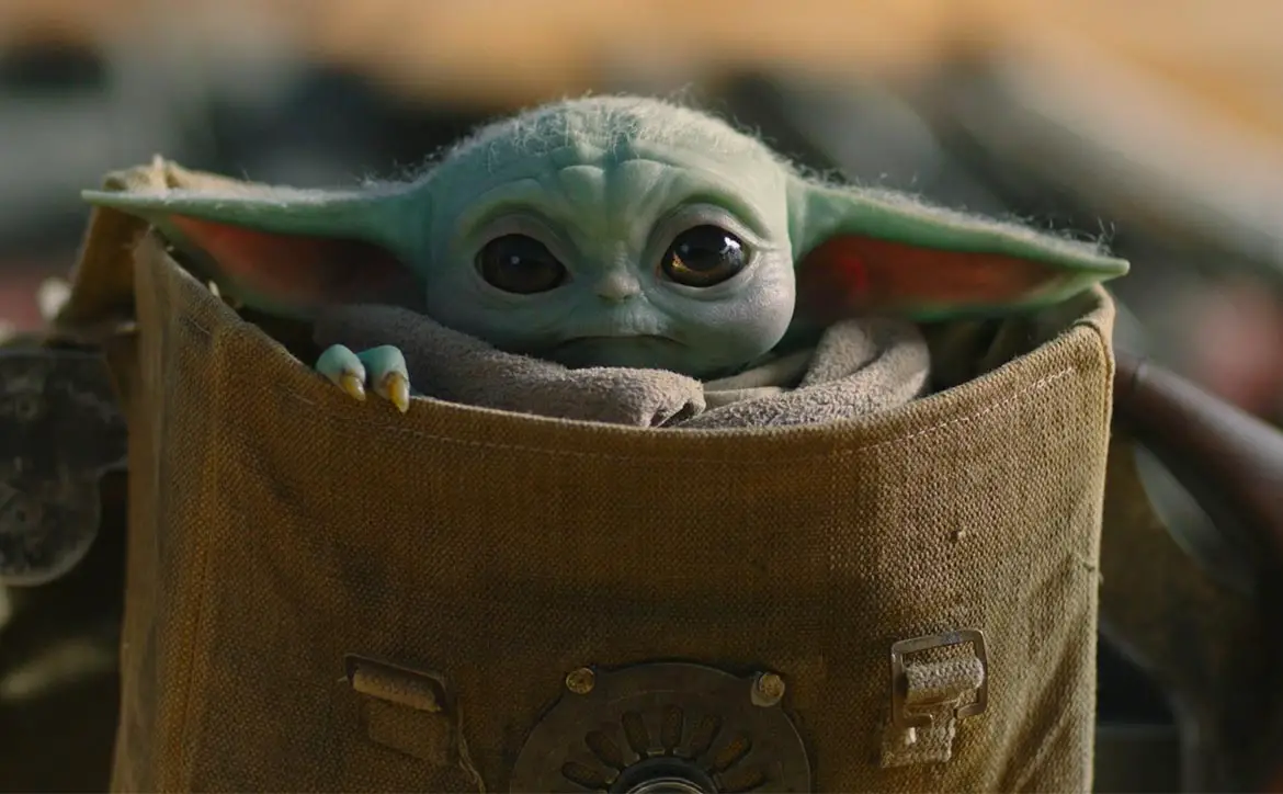 Is Grogu, a.k.a. Baby Yoda, a Sith Lord?