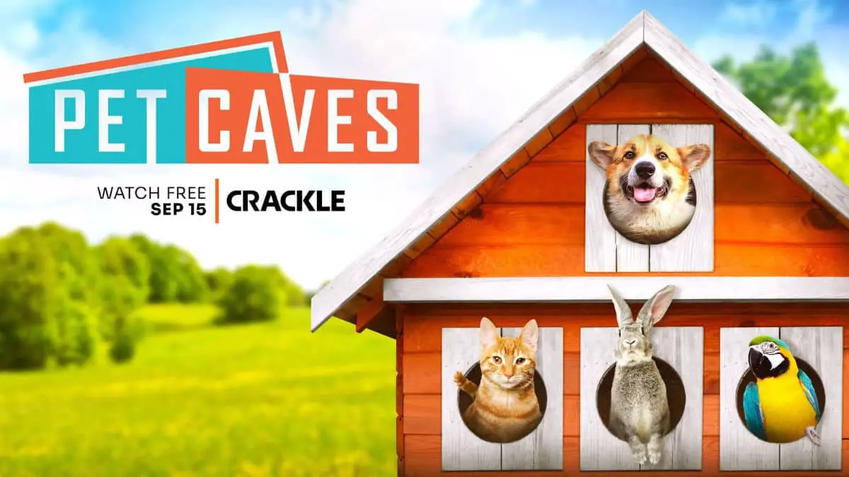 Lights, Camera, Crackle: See what’s new on Crackle in September 2022