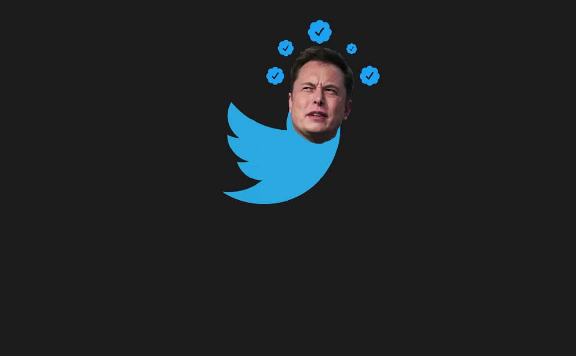 Twitter Elon Musk Verification Confusion-min