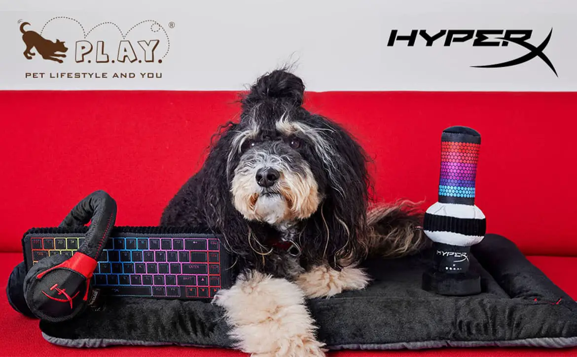 Gamer? Pet lover? HyperX and P.L.A.Y. have some dog toys for you!