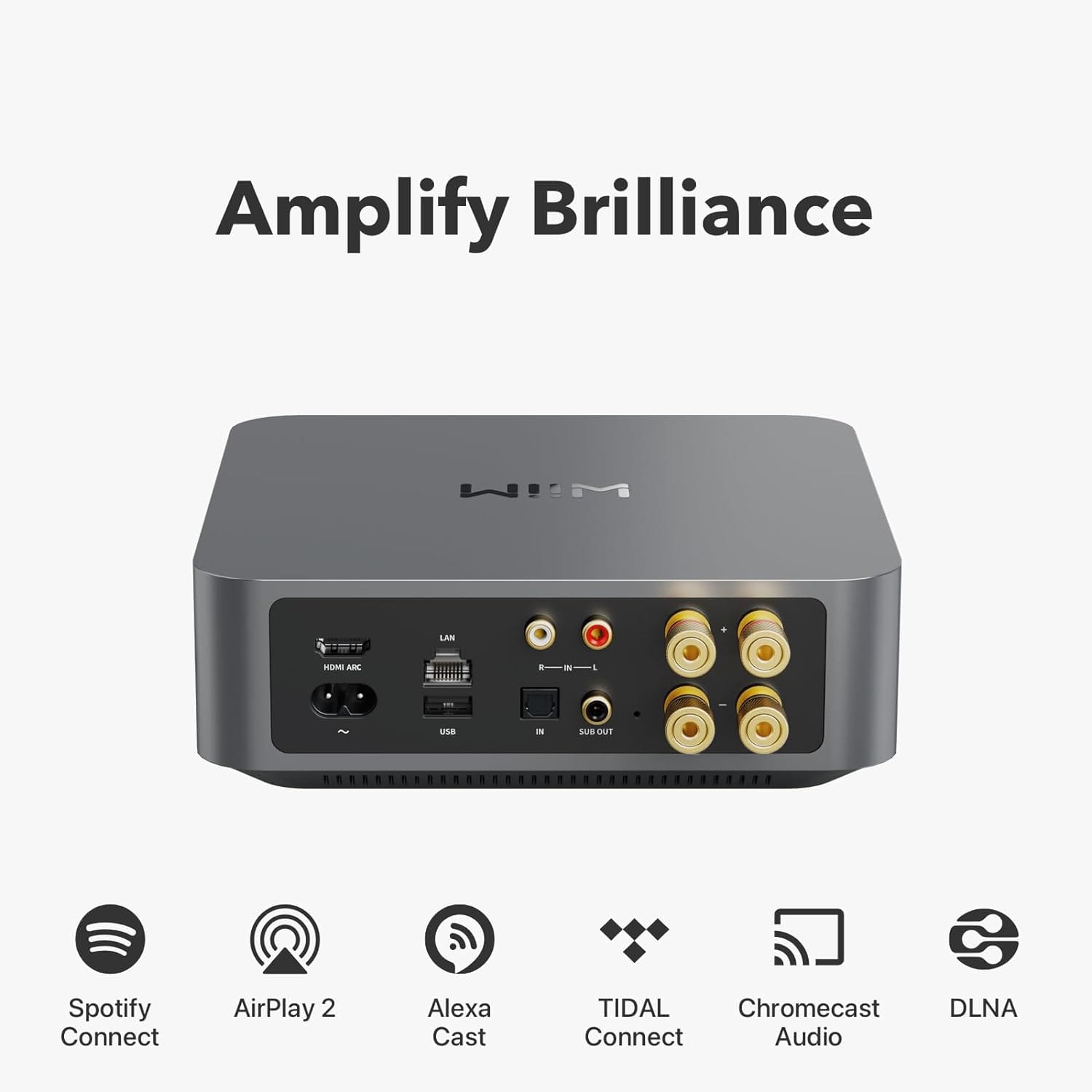 WiiM Mini  Elevate Your Audio Gear: Smart, Affordable, Effortless
