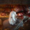 The_Witcher_3_Wild_Hunt_Blood_and_Wine_Need_a_hand_RGB